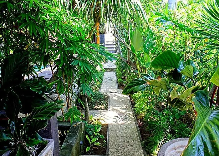 Alami Resort, Restaurant And Dive Center Konukevi