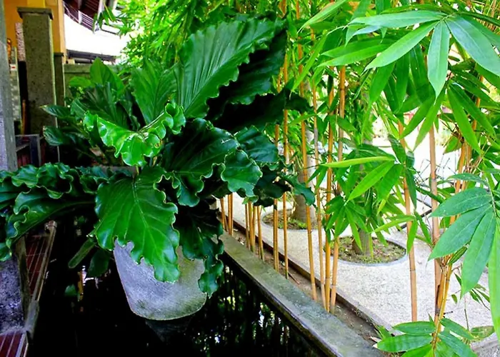 Konukevi Alami Resort, Restaurant And Dive Center Amed